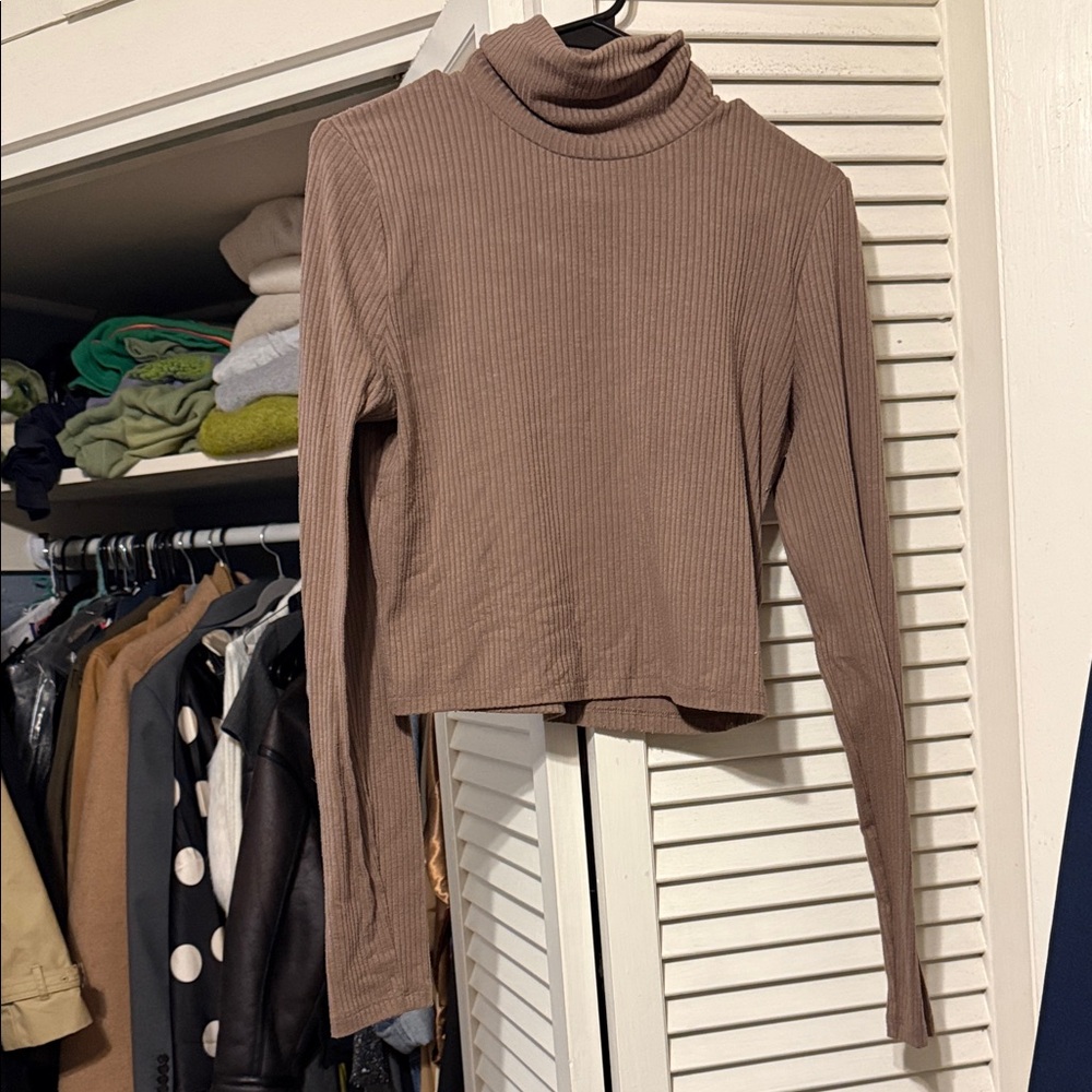 Madewell Taupe Ribbed Long Sleeve Turtleneck